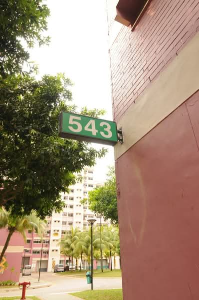 543 Choa Chu Kang Street 52, 543 Choa Chu Kang Street 52, 4 Bedrooms, 1,345 sqft, HDB Flat For Rent, by Melvin Lum, 25176912 - PropertyGuru.com.sg