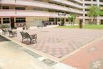 609 Choa Chu Kang Street 62 #0