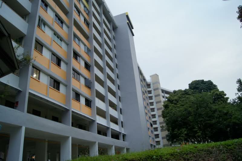 329 Clementi Avenue 2, 329 Clementi Avenue 2, Room Rental, , HDB Flat For Rent, by Carol Toh, 500087491 - PropertyGuru.com.sg