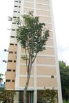 301 Clementi Avenue 4 #0