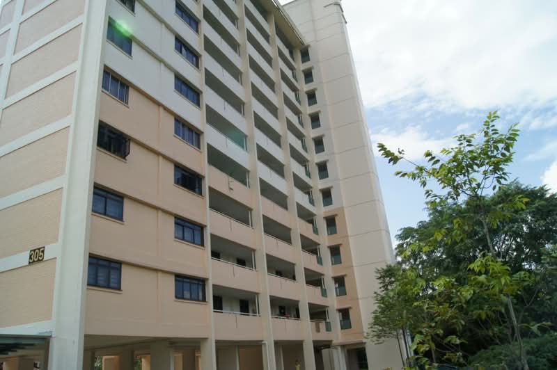 305 Clementi Avenue 4