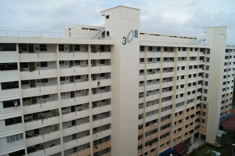 308 Clementi Avenue 4
