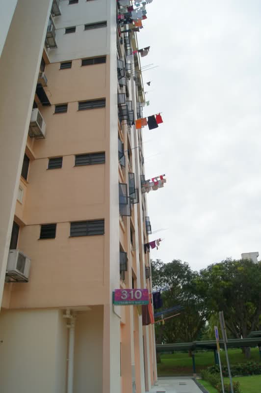 310 Clementi Avenue 4