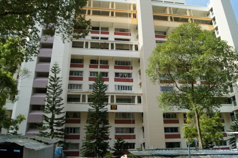 113 Clementi Street 13