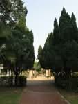 55 Commonwealth Drive #0