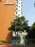 55 Commonwealth Drive #0