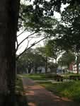 57 Commonwealth Drive #0
