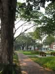 57 Commonwealth Drive #0