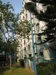 59 Commonwealth Drive #0