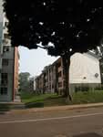 61 Commonwealth Drive #0