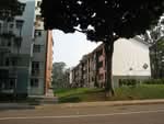 61 Commonwealth Drive #0