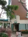 62 Commonwealth Drive #0