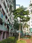 62 Commonwealth Drive #0