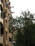 93 Commonwealth Drive #0