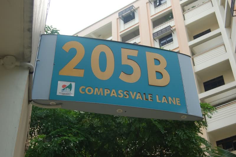 For Rent - 205B Compassvale Lane