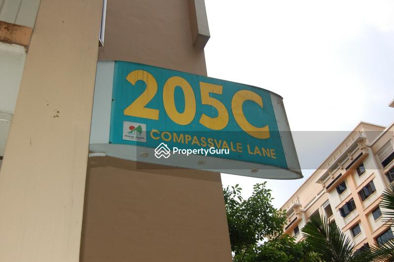 For Rent - 205C Compassvale Lane