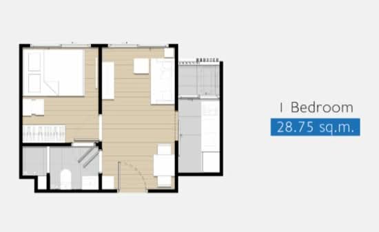 Plum Condo Sukhumvit 97/1 : พลัมคอนโด สุขุมวิท 97/1 - Floor Plan