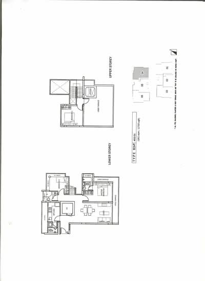 The Ambra - Floor Plan