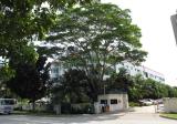 Apico Industrial Building