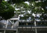 Income at Raffles